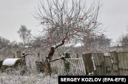 Першы сьнег у Харкаўскай вобласьці. 17 лістапада 2022