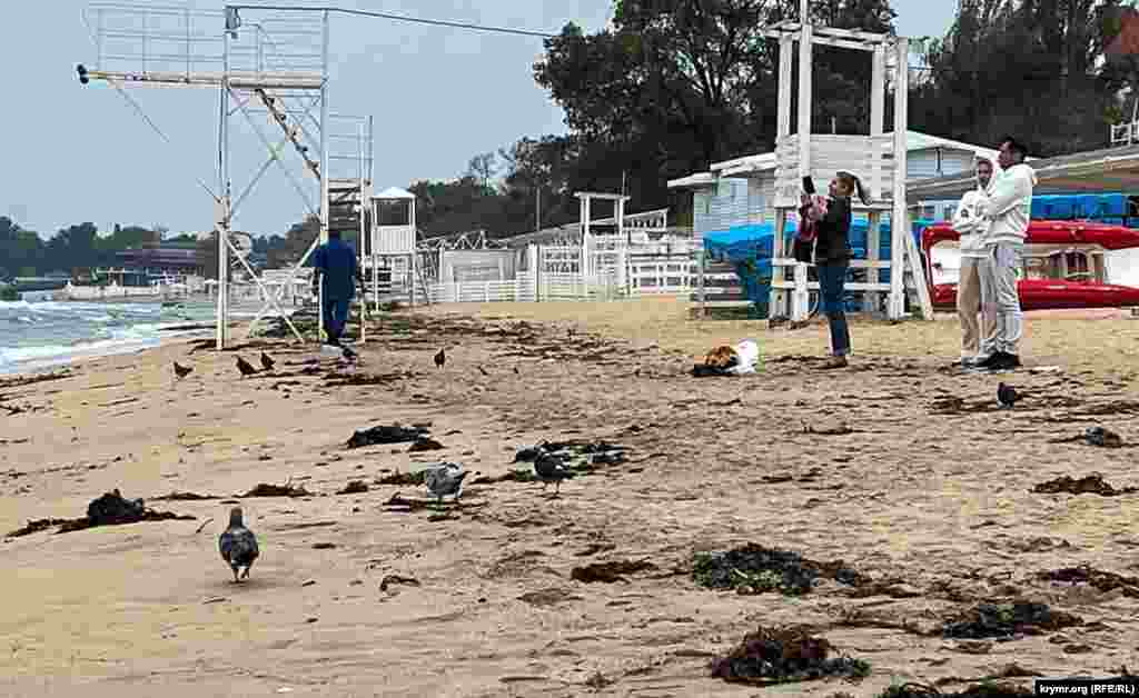 Евпавторийские песчаные пляжи устланы выброшенными морем водорослями, среди которых бродят стайки голубей и несколько прохожих.