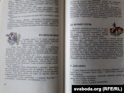 Дапаможнік па беларускіх гульнях. Іх апісаньне і правілы