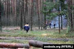 Рэкамэндацыі міністэрства лясной гаспадаркі