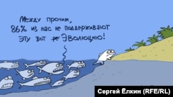 Карикатура Сергея Елкина