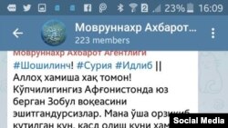 "Ислом давлати" Шайх Салоҳиддин ўлими учун маъсулиятни ўз зиммасига олди