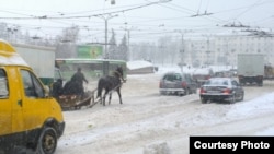 Конная таксоўка. Віцебск. Фота «Белсат»