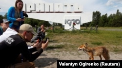 Ілюстрацыйнае фота. Турысты ў Чарнобыльскай зоне