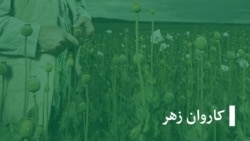 برنامه‌ی کاروان زهر 