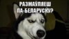 У конкурсе «Мова-пантова» перамаглі малюнкі пра каханьне і беларускую лаянку