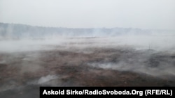 Тленьне тарфяніку, ілюстрацыйнае фота