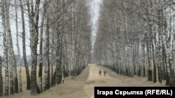 Толькі мая беларусь. Аршанскі раён. Дарога.