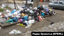 В некоторых районах города отсутствуют контейнеры для мусора