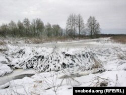 Бабровая плаціна пад сьнегам выглядае шыкоўна. Ваколіцы вёскі Ахрэмавічы, студзень 2010. Аўтарская хроніка