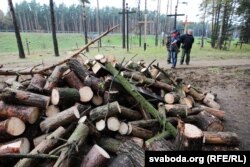 Сьпілаваны крыж сярод бярвеньня