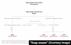 Структура владений Tigers Realm Coal