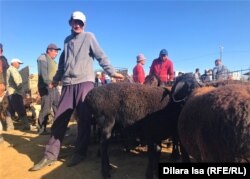 Қарабұлақ мал базарына Бәйдібек ауданынан сатуға қой әкелген Бақпан Қоспанов. Түркістан облысы Сайрам ауданы. 15 қыркүйек 2021 жыл.