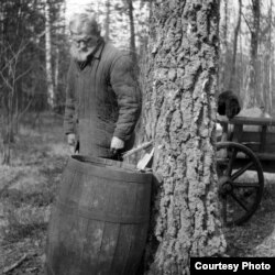 Фота з калекцыі «Людзі Лесу»