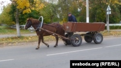 Зьняволены едзе па Івацэвічах у разгар сухотнай ўспышкі, архіўнае фота