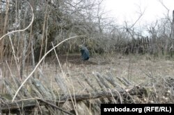 Адна з жыхарак Дубравіцы корпаецца на сваім гародзе