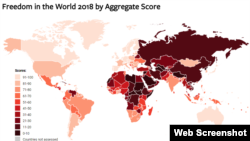 Уровень свободы в мире, где 100 – наиболее свободные страны, 0 – наименее свободные (скриншот Freedom House)