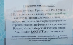 Объявление у входа в Новосибирский зоопарк