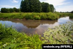 У месцы ўпадзеньня ручая ў Дзітву — выразны падзел на чыстую і брудную ваду