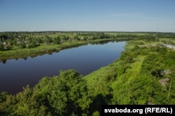 Рака Дзьвіна, у пойме якой цяпер жывуць тарпанападобныя коні