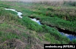 На трэцім кілямэтры ўніз ад вытоку. Ваколіцы вёскі Старыя Навасёлкі, Нясьвіскі раён. Жнівень 2017. Аўтарская хроніка