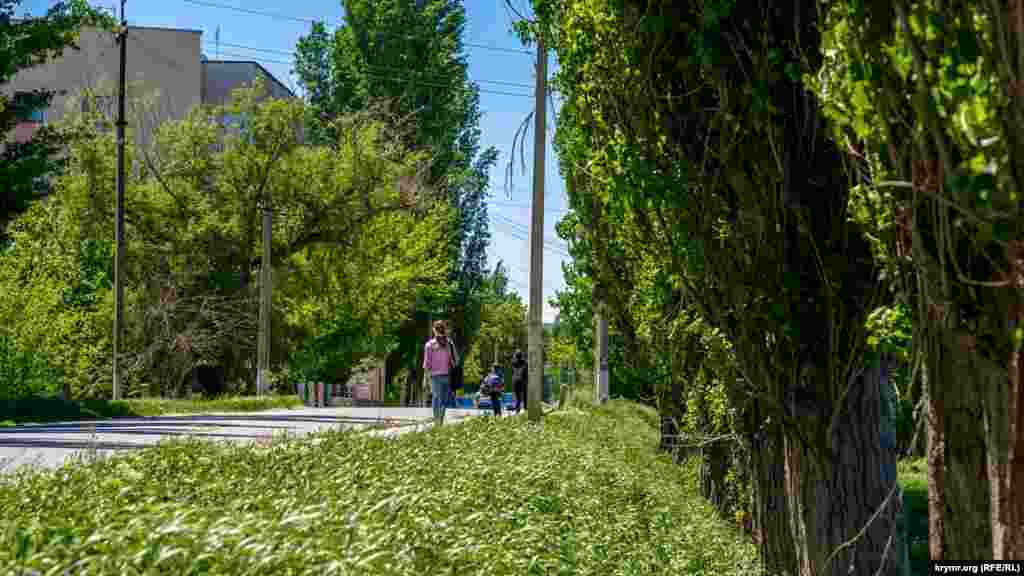 Село Белоглинка начинается с многоэтажек сразу же за мостом через реку Салгир (слева)